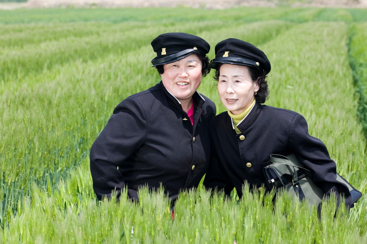 꽁당보리 축제