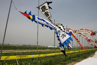 꽁당보리 축제