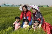 꽁당보리 축제사진(00070)