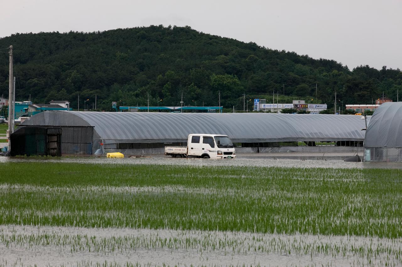 경포천 주변 침수지역