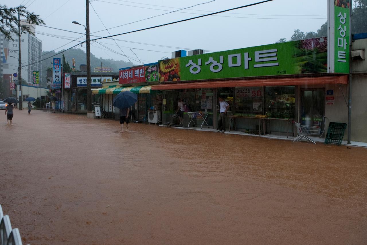 침수지역 현장점검