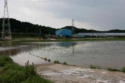 성산면 둔덕리 침수지역