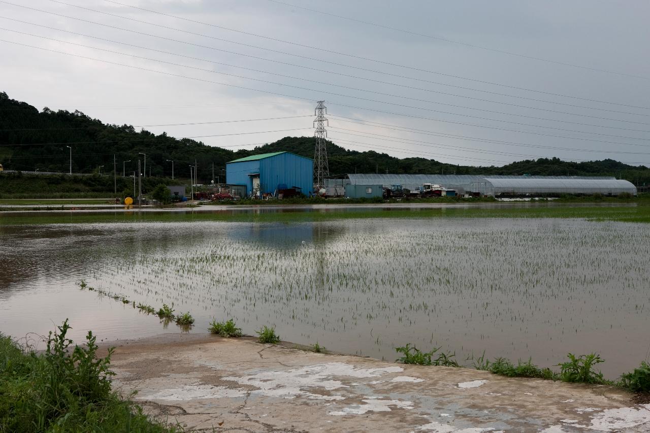 성산면 둔덕리 침수지역