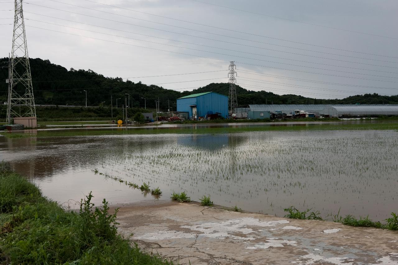 성산면 둔덕리 침수지역