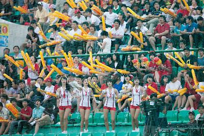 프로야구 기아타이거즈 군산홈경기