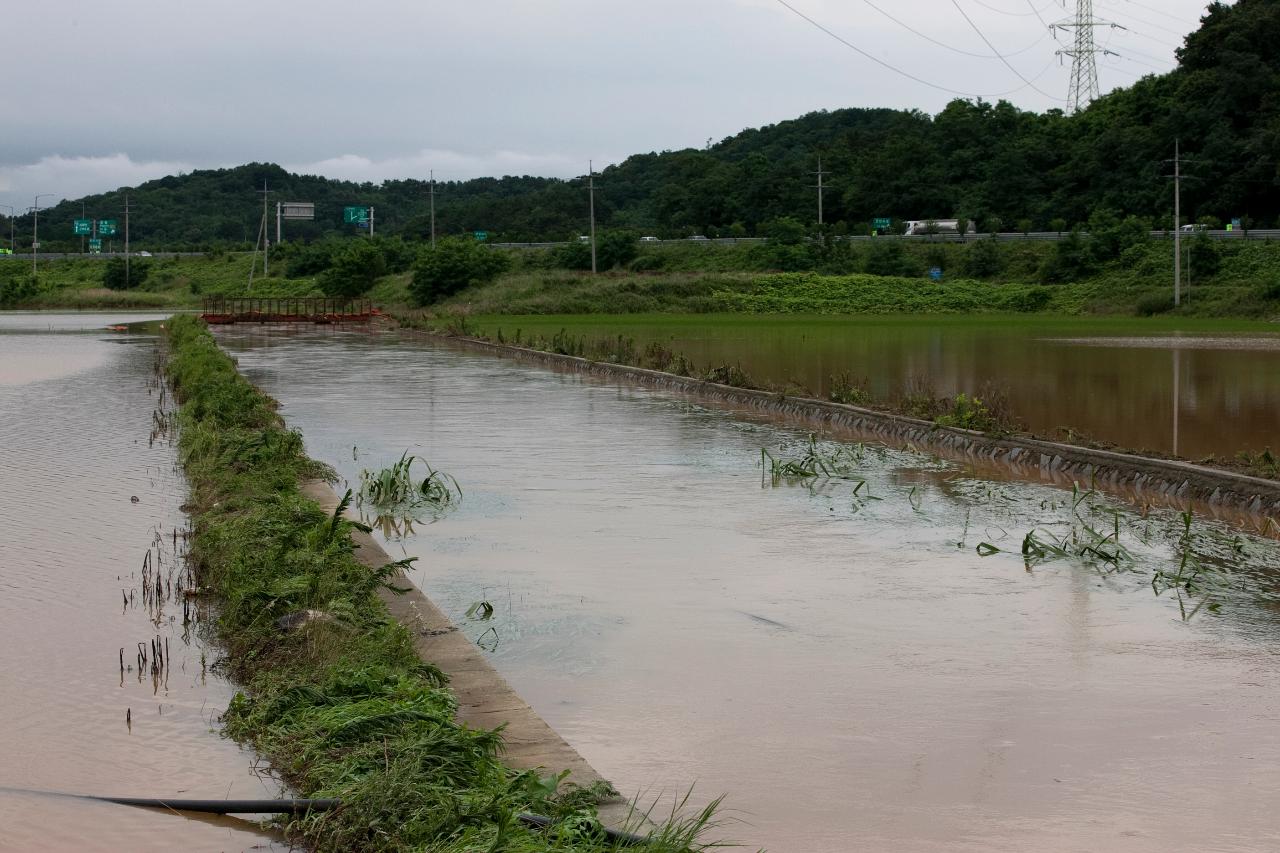 성산면 둔덕리 침수지역