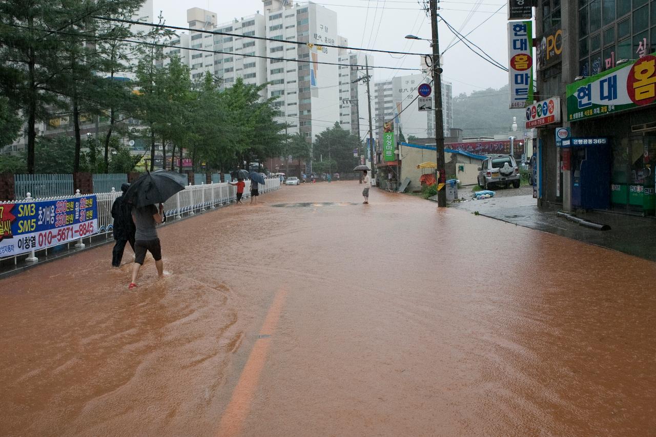 침수지역 현장점검