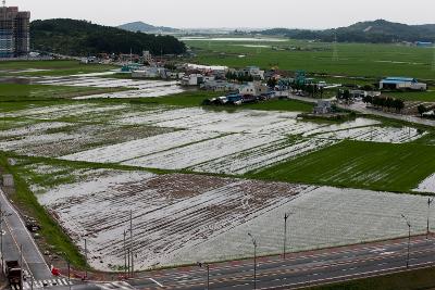 경포천 주변 침수지역