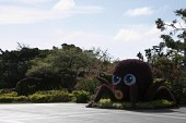 일본 오키나와 방문사진(00124)