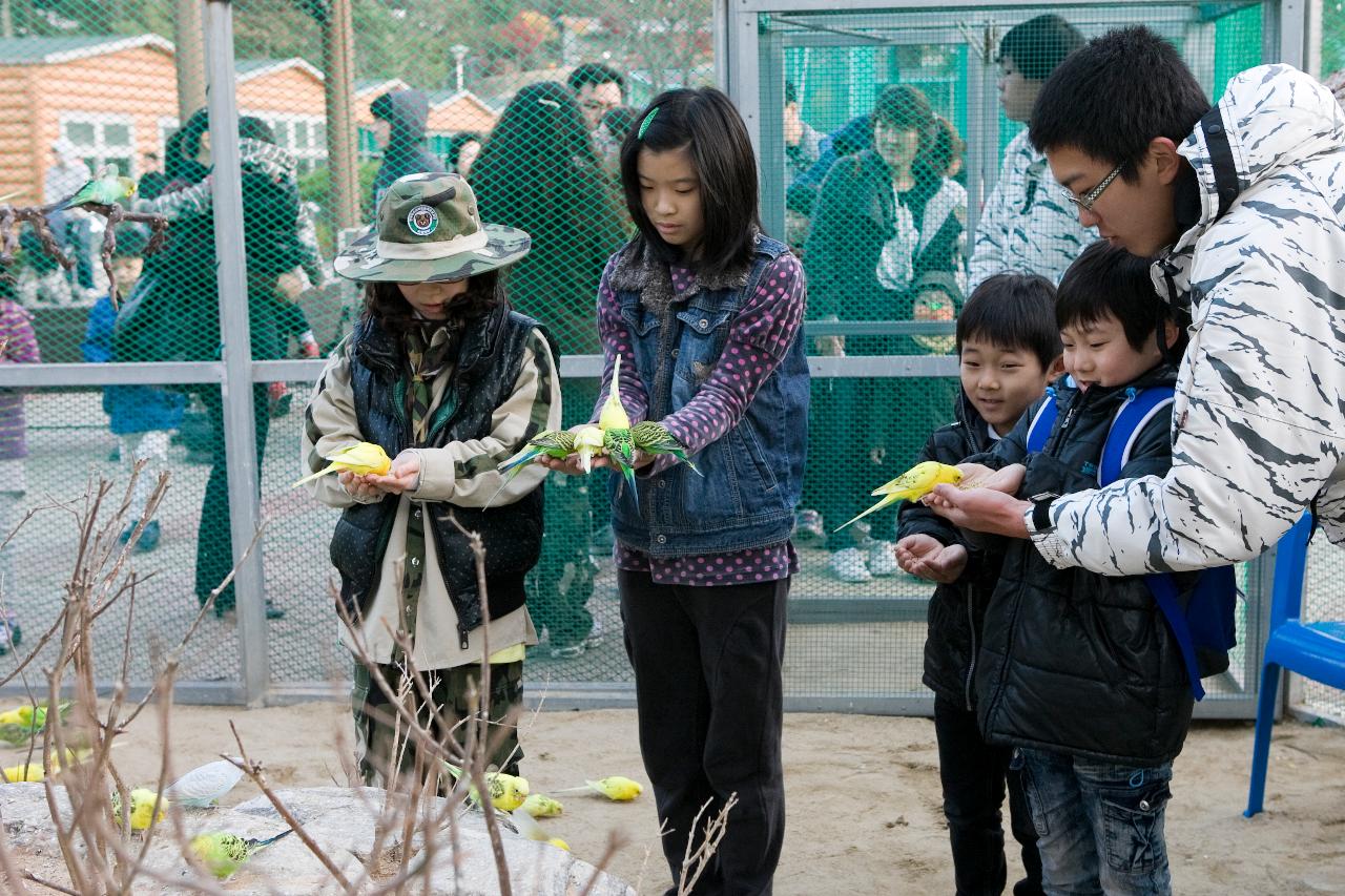 철새축제