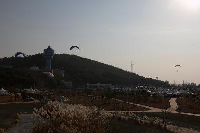 철새축제 개막식