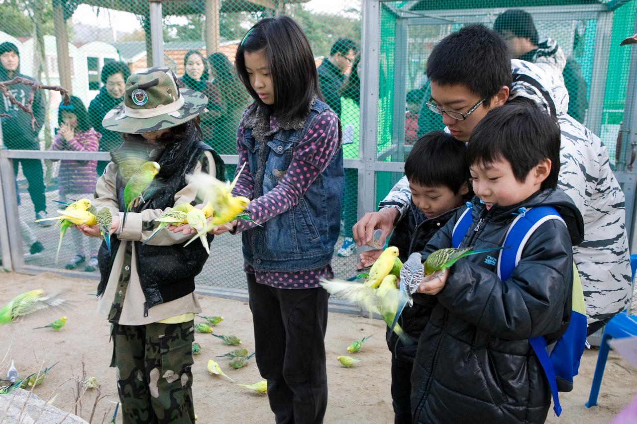 철새축제