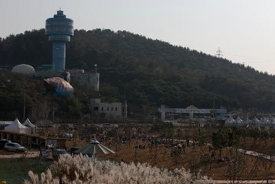 철새축제 개막식