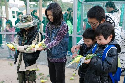 철새축제