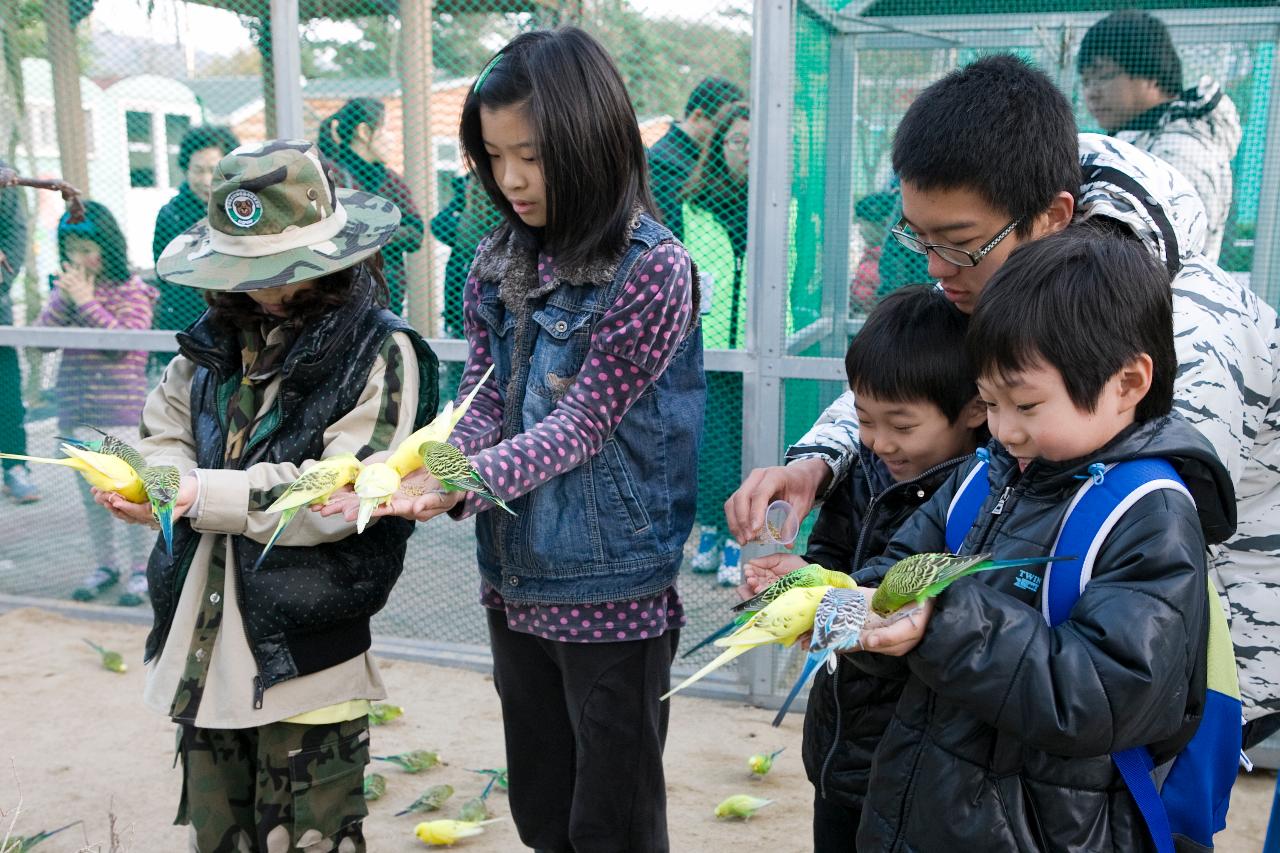 철새축제