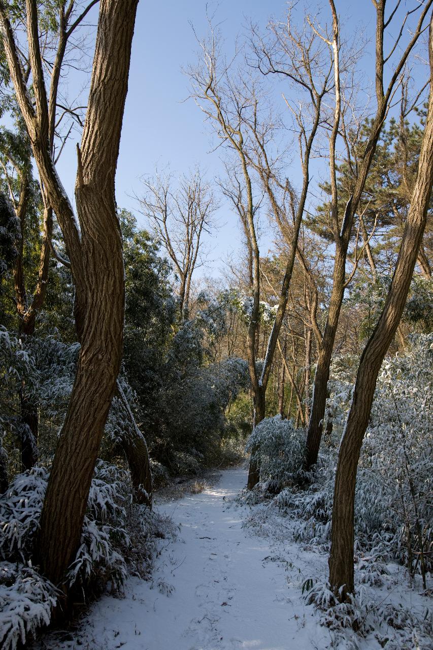 청암산 설경