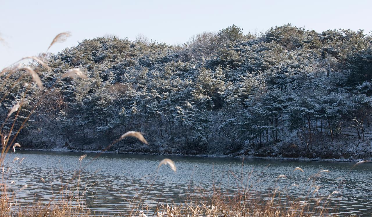 청암산 설경