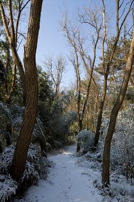 청암산 설경