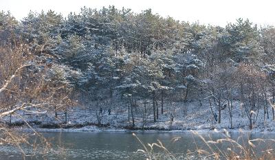 청암산 설경