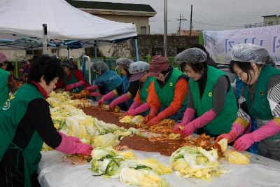 새마을협의회 김장 담그기