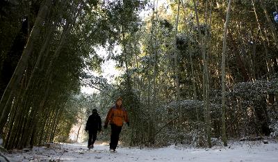 청암산 설경