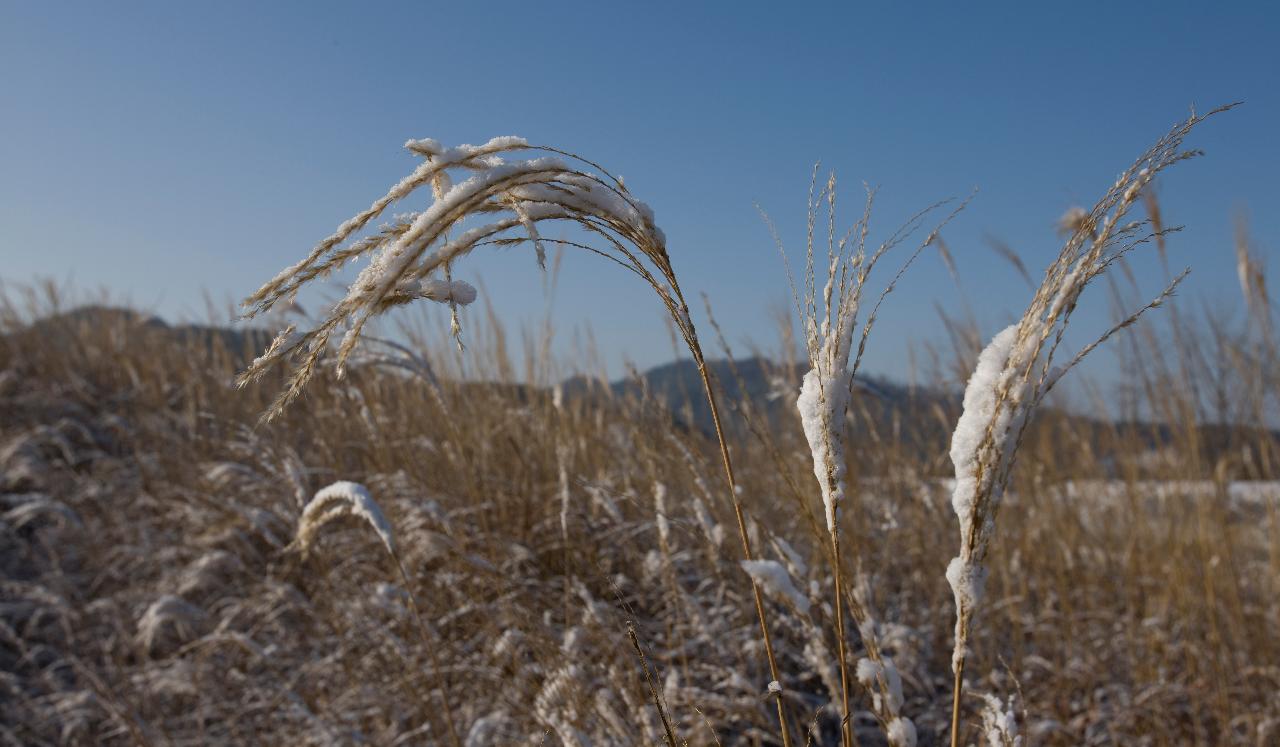 청암산 설경