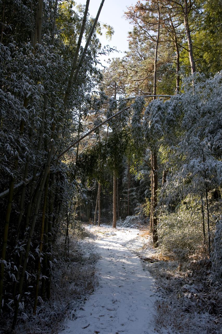 청암산 설경