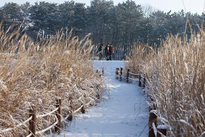 청암산 설경