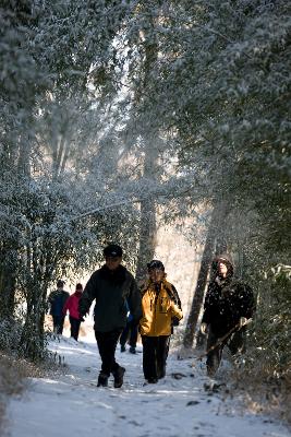 청암산 설경