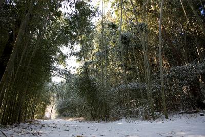 청암산 설경