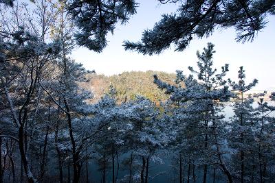 청암산 설경