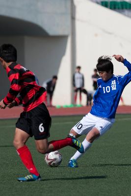 금석배축구대회