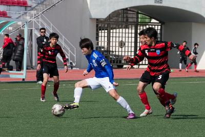 금석배축구대회