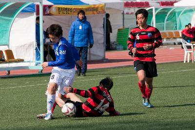 금석배축구대회