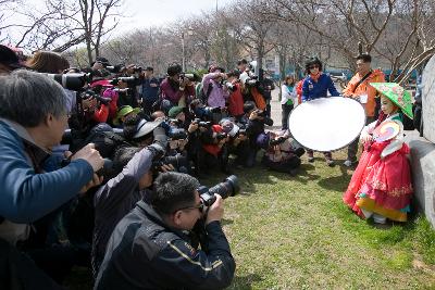 새만금 전국 사진촬영 대회