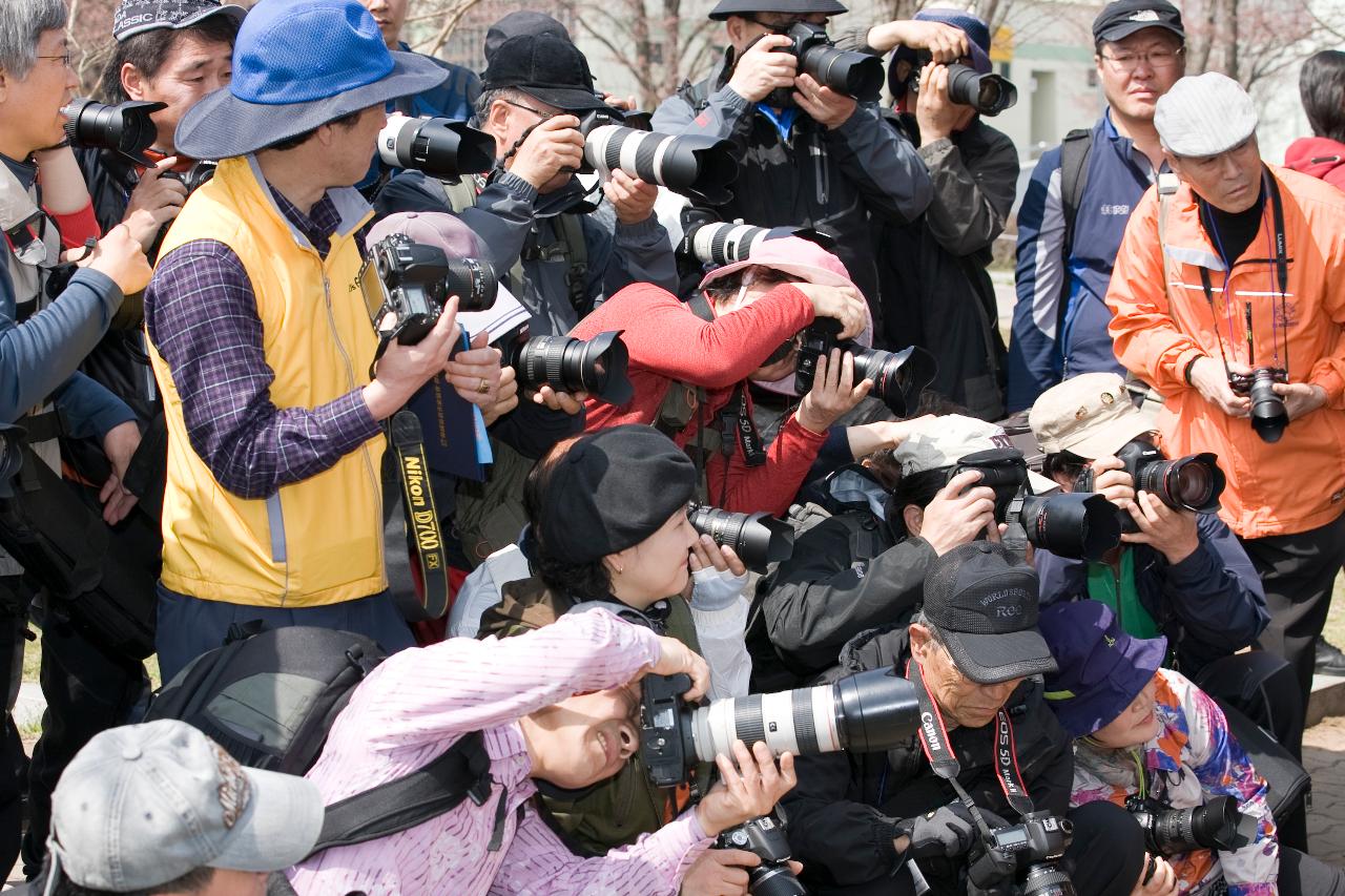 새만금 전국 사진촬영 대회