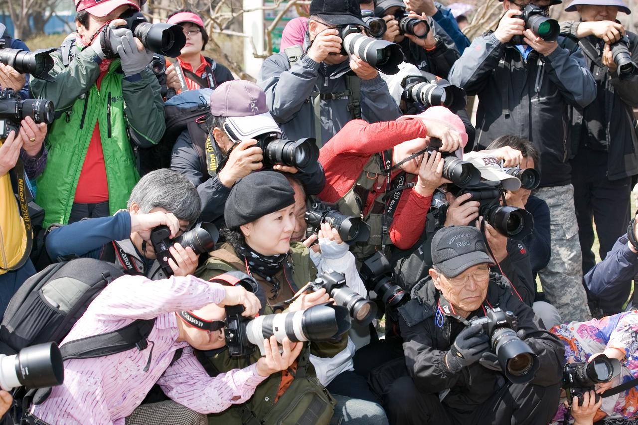 새만금 전국 사진촬영 대회