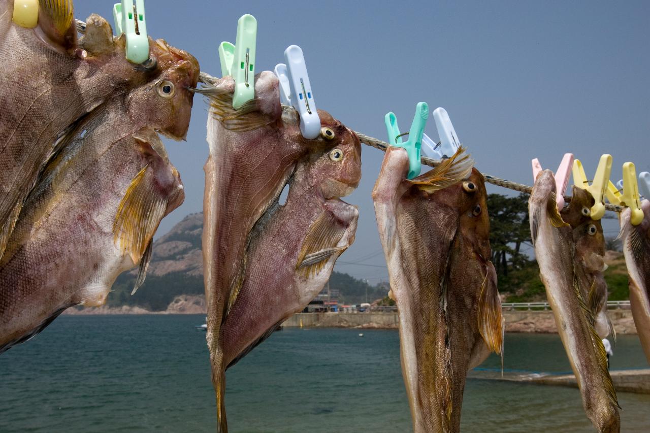 장자도 마을기업설립 기념식