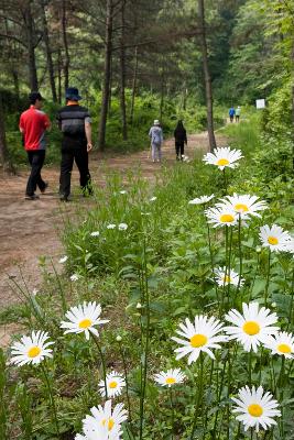 청암산