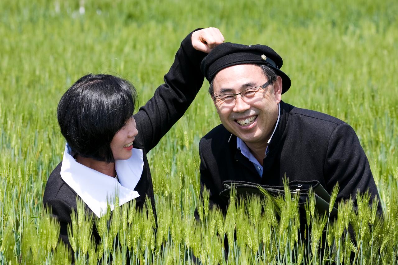 꽁당보리축제