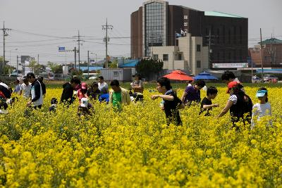 꽁당보리축제