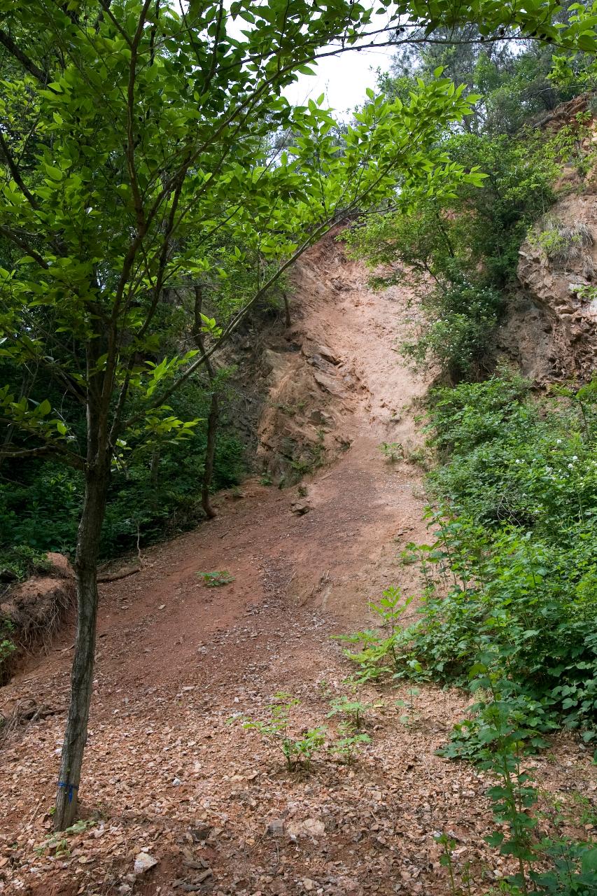 청암산