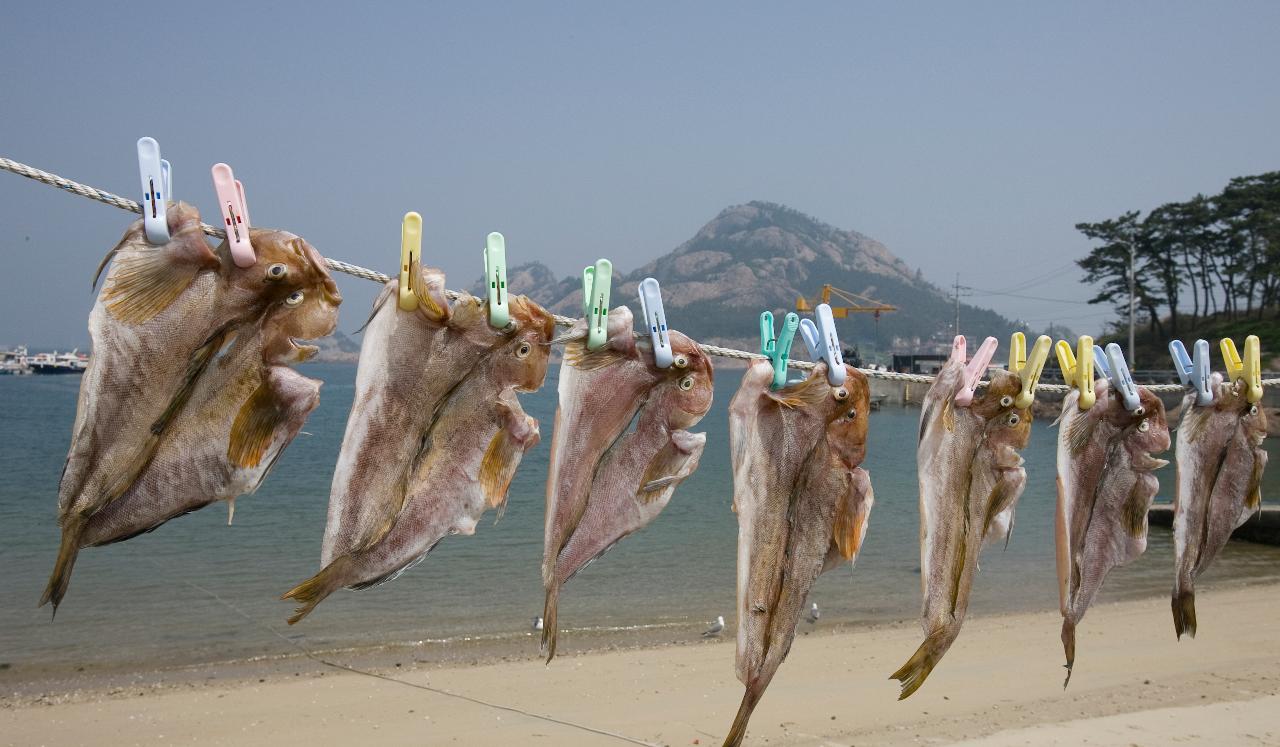 장자도 마을기업설립 기념식