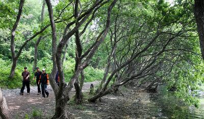 청암산