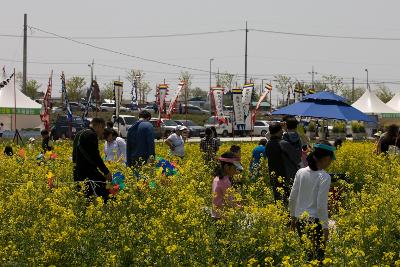 꽁당보리축제