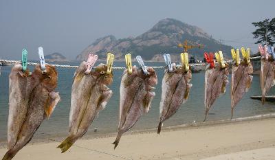 장자도 마을기업설립 기념식