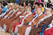 불교 연등축제사진(00003)