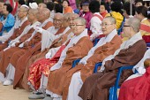 불교 연등축제사진(00004)