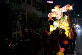 불교 연등축제사진(00044)