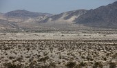 모하비사막 전경사진(00009)